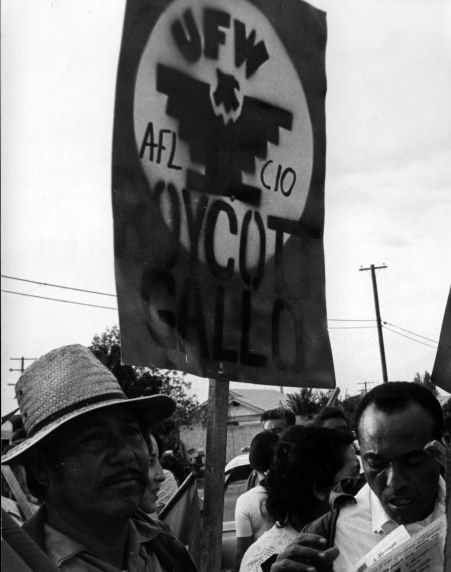 (3697) Gallo Boycott, demonstration (3697) Gallo Boycott, demonstration